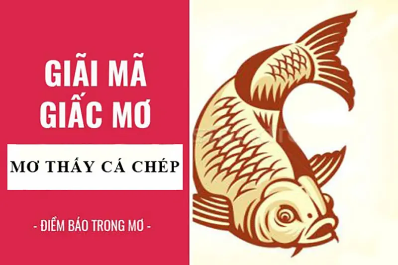 Giải mã giấc mơ thấy cá chép chi tiết