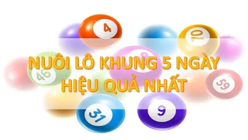 Nuôi lô khung 5 ngày sẽ đòi hỏi chi phí cao nhưng có thể đảm bảo lợi nhuận cho bạn tốt nhất