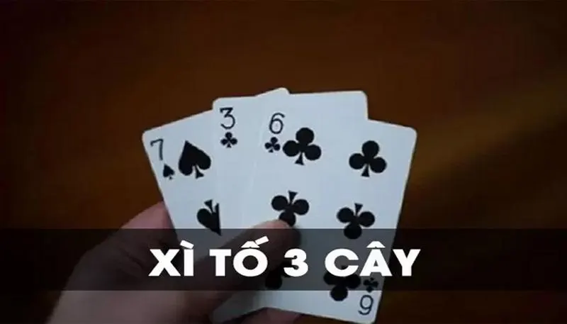 Xì tố 3 cây là một game bài hấp dẫn được nhiều người yêu thích